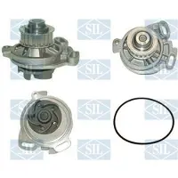 Saleri SIL Wasserpumpe PA620P
