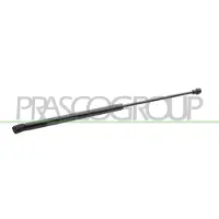 PRASCO Gasfeder, Koffer-/Laderaum VG0219055