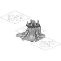 KWP Wasserpumpe 101437