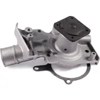 GK Wasserpumpe 980071