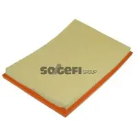 FRAM Luftfilter CA10675