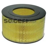 FRAM Luftfilter CA10914