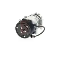 AKS Klimakompressor 852996N