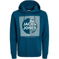 Jack & Jones Hoodie Stein Kapuzensweatshirt
