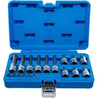 Bgs Bit Socket Set, Chrom-Vanadium-Stahl, 1675 mm, 1,68 kg