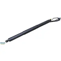 BUGIAD BRD50704 Gasfeder Heckklappendämpfer für BMW X5 (F15, F85)
