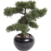 Botanic-Haus Kunstbonsai "Ceder Bonsai"