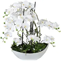 Creativ Green Kunstorchidee "Phalaenopsisarrangement, 68cm weiss" in Keramikschale