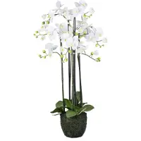 Creativ Green Kunstorchidee "Orchidee Phalaenopsis" im Erdballen und mit real-touch-Blüten