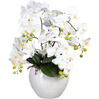 Creativ Green Kunstorchidee "Phalaenopsis im Keramiktopf"