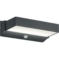 TRIO Lighting Aussenwandleuchte mit Bewegungsmelder Cuando, schwarz, Aluminium, Modern