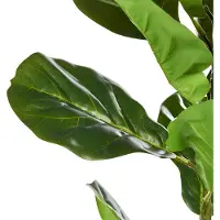 Beliani Fiddle Leaf Tree