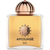 Amouage Dia Woman EDP 100 ml