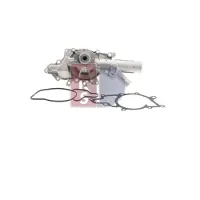 AKS Dasis Wasserpumpe 570410N