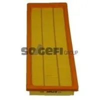 PURFLUX Luftfilter A276
