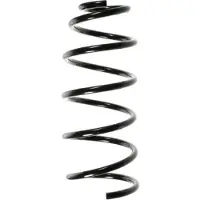 SPIDAN Fahrwerksfeder 49551