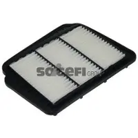 FRAM Luftfilter CA10519