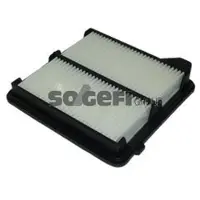 FRAM Luftfilter CA10490