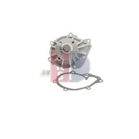 AKS Dasis Wasserpumpe 570641N