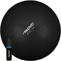 Avento Fitness/gym Ball Fitball