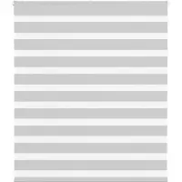 vidaXL Doppelrollo Hellgrau 120x100 cm Stoffbreite 115,9 cm Polyester