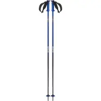Salomon Polar Pro Stöcke