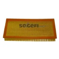 FRAM Luftfilter CA9573