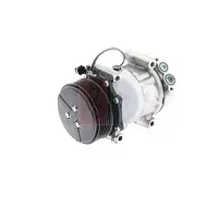 AKS Dasis Kompressor, Klimaanlage 850000N