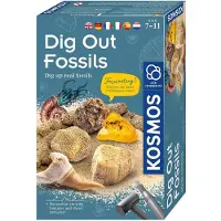 Kosmos Ausgrabungsset Fossilien