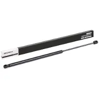 RIDEX Heckklappendämpfer CITROËN 219G0239 8731C0,9618119180