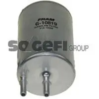 FRAM Kraftstofffilter G10819