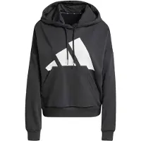 Adidas Kapuzensweaters Essentials Big Logo French Terry Loose Hoodie damen