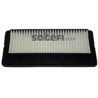 FRAM Luftfilter CA8734