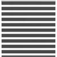 vidaXL Doppelrollo Schwarz 150x100 cm Stoffbreite 145,9 cm Polyester