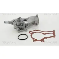 TRISCAN Wasserpumpe 8600 24053