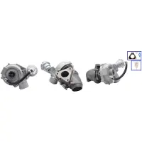 TURBOS EUROPE Lader, Aufladung OE REMAN PA53039700007