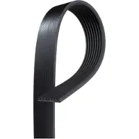 Gates Keilrippenriemen 8PK1305