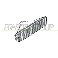 PRASCO Blinkleuchte VG0304313
