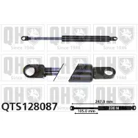 Quinton Hazell QTS128087 Gasfeder Heckklappendämpfer für FORD ORION II (AFF) 247mm