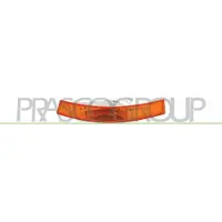 PRASCO Blinkleuchte DS9604103