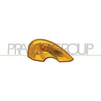 PRASCO Blinkleuchte RN3084104