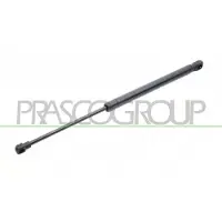 PRASCO Gasfeder, Koffer-/Laderaum BM1209055