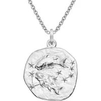Trendor 51610-03 Sternzeichen Fische Ø 20 mm und Halskette 925 Silber