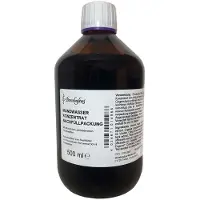 Bombastus Mundwasser Konzentrat 500 ml