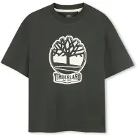 Timberland T-Shirt für Kinder T60422 kind