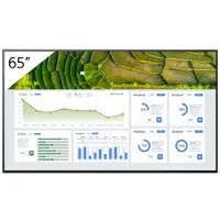 Sony FW-65BZ30L, Digital Signage Flachbildschirm, 165,1 cm (65"), LCD, 3840 x 2160 Pixel, WLAN, 24/7