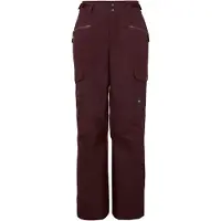 O'Neill Utility Hosen