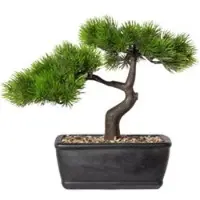 Pflanzen-Kölle Kunstpflanze Bonsai-Lärche, Höhe ca. 25 cm