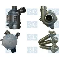 Saleri SIL Wasserpumpe PE1619