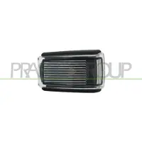 PRASCO Blinkleuchte VV0314141
